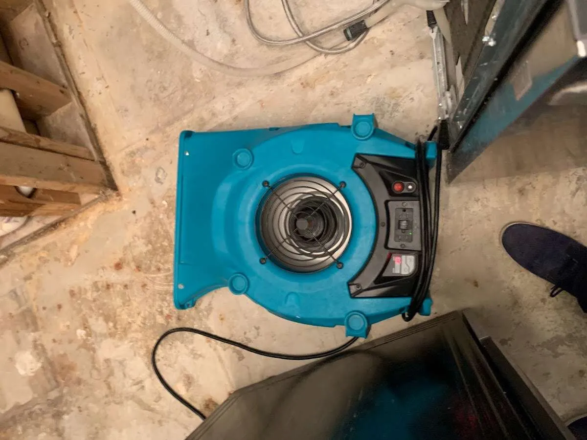 Air mover drying equipment for Mold Remediation & Removal in Bullard